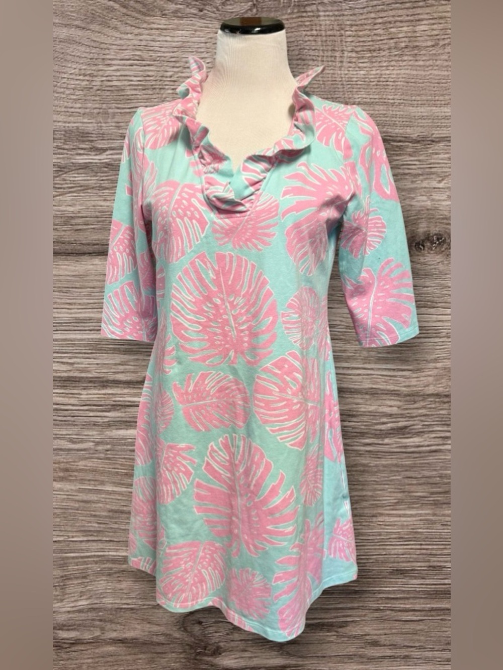 Haley and the Hound Dress